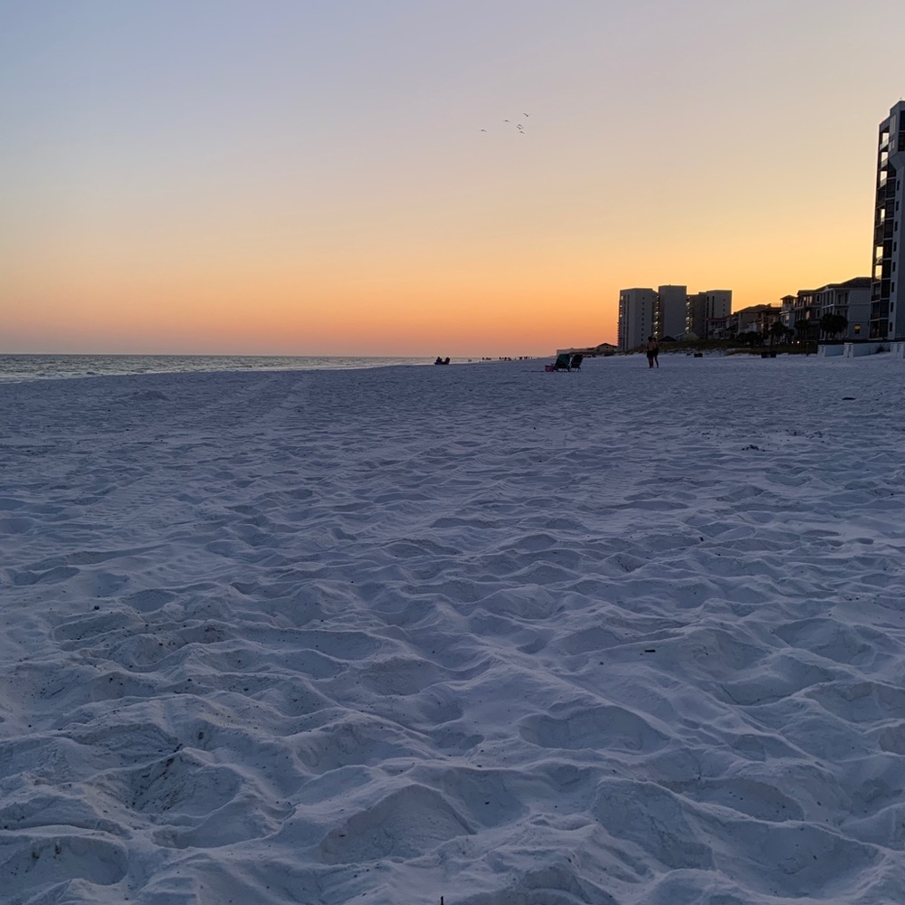 Meet your Posher, Kara